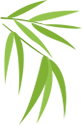 12.png 圖片