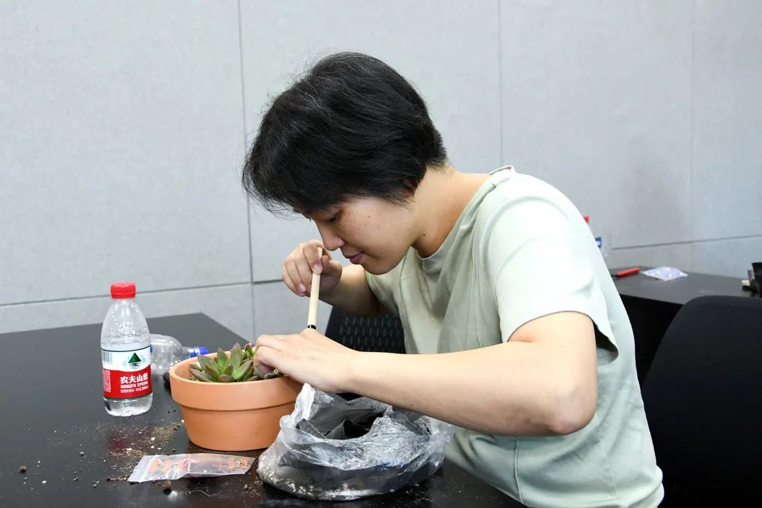 13.jpg 圖片